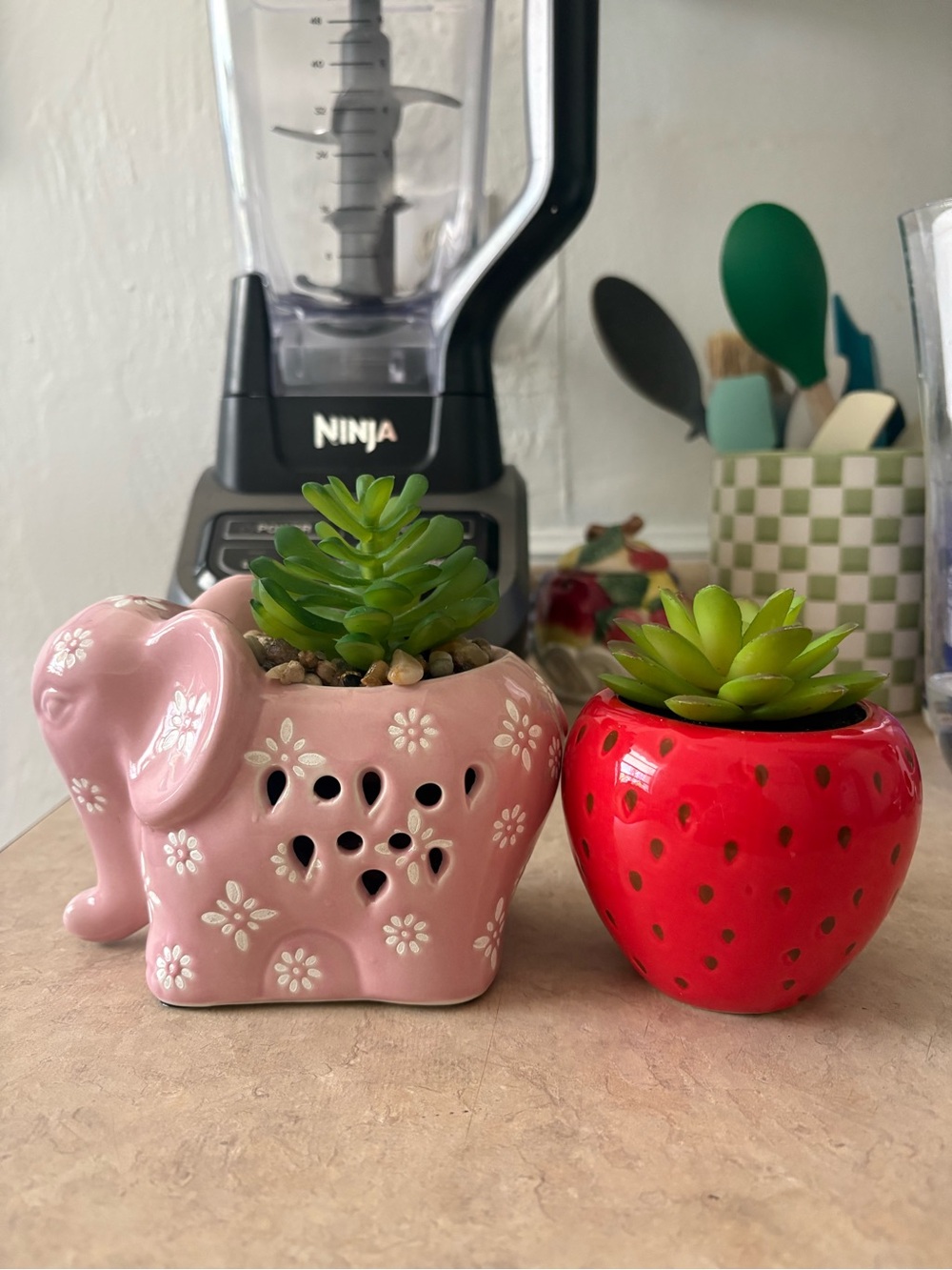 Set of Two Strawberry and Elephant Ceramic Planters with Succulents
